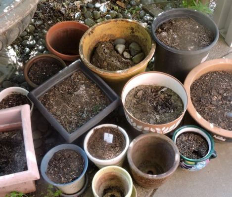garden empty pots grouped apr 26 2022 - 1