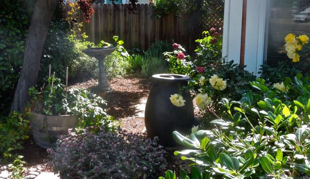 garden side rain barrel and flowers blackberries apr 27 2022 - 1
