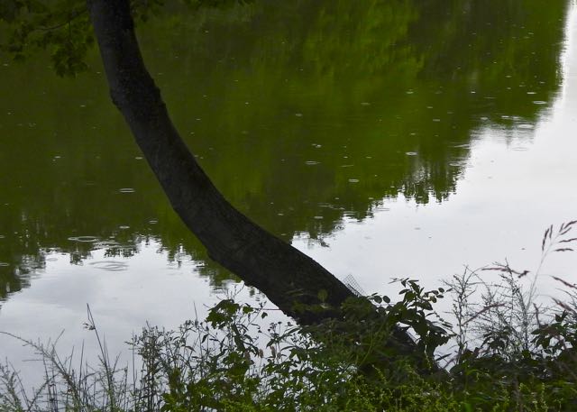 lake cameron gentle rain aug 21 2022 - 1