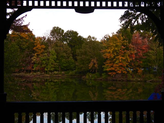 lake cameron east side fall color palette from gazebo oct 17 22 - 1