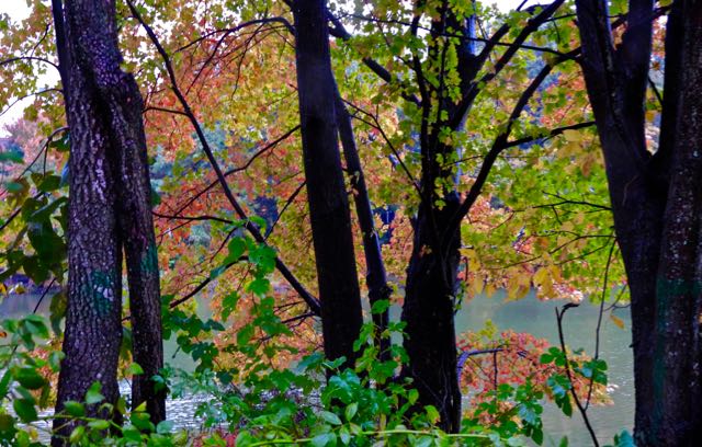 lake cameron fall pastels by rainy lake oct 13 2022 - 1