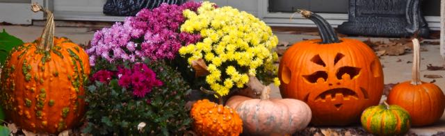 lake cameron halloween display in community oct 30 2022 - 1