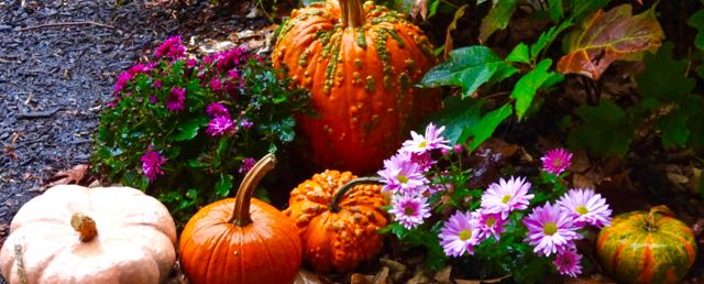 lake cameron community early nov still life in rain nov 10 2022 - 1