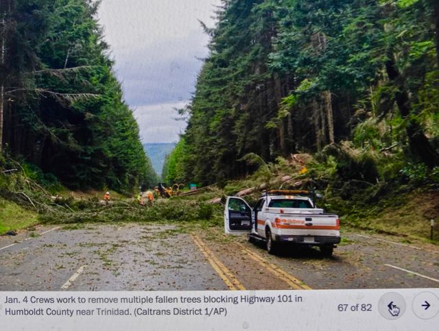 california storms tree falls humboldt wash post jan 11 2023 - 1