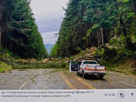 california storms tree falls humboldt wash post jan 11 2023 - 1