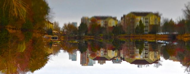 lake cameron lake, community, downtown toward south upside down evening Mar 20 2023 - 1