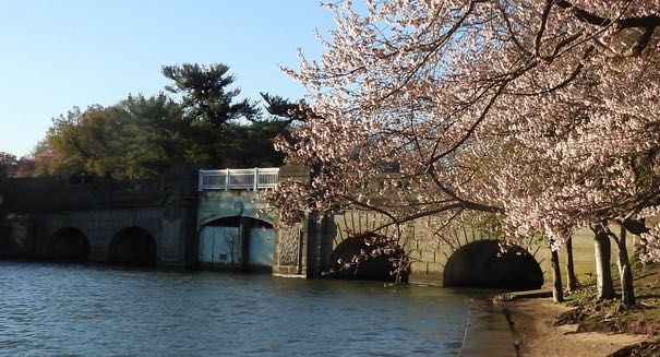 potomac valley inlet gates and cherry blossoms tidal basin Mar 18 2023 - 1