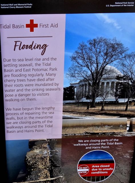potomac valley tidal basin flooding alert Mar 19 2023 - 1